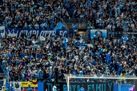 D251107MLSCFCvNYCFC128335WGA