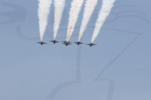 D2008INDYIMS04661BLS