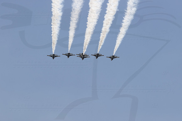 D2008INDYIMS04646BLS