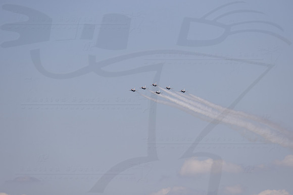 D2008INDYIMS04788BLS