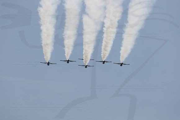 D2008INDYIMS04672BLS