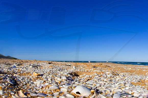 D8DAYSBEACH28003JT