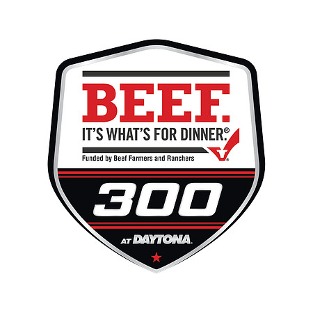 20_DIS-Beef-Its-Whats-For-Dinner-300_4C