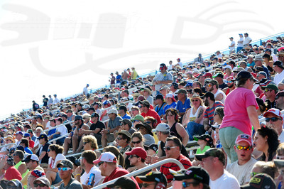 D1408WGI13003BFC