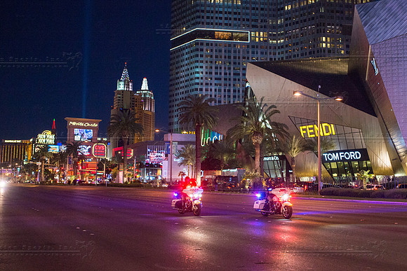 D1504LVMS7041GWB
