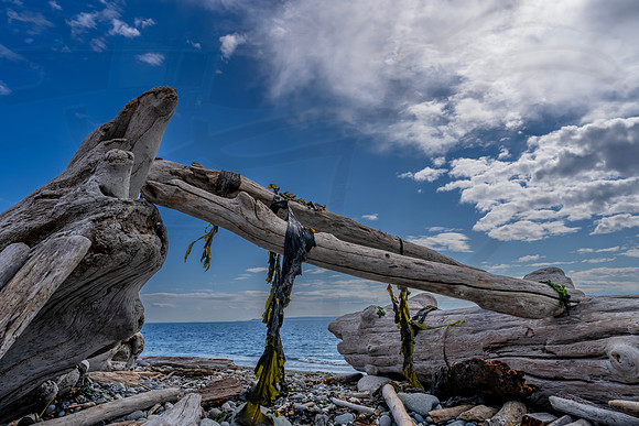 D230906SEP97259WGA