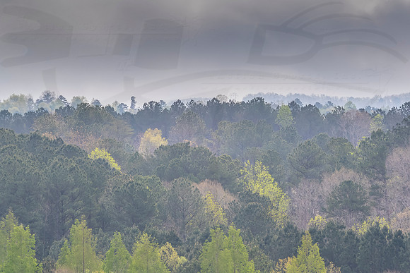 D1904IndyHIGPA00639WGA