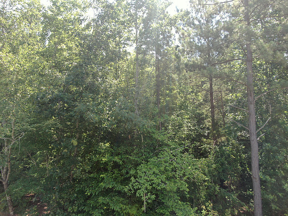 D2006ReMax01464WGA