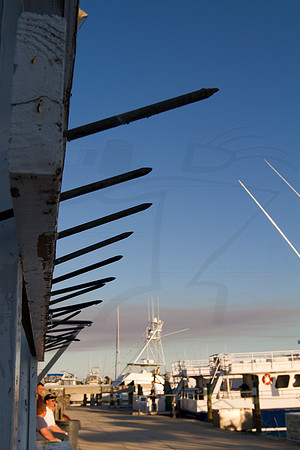 D11FEB2535ACM