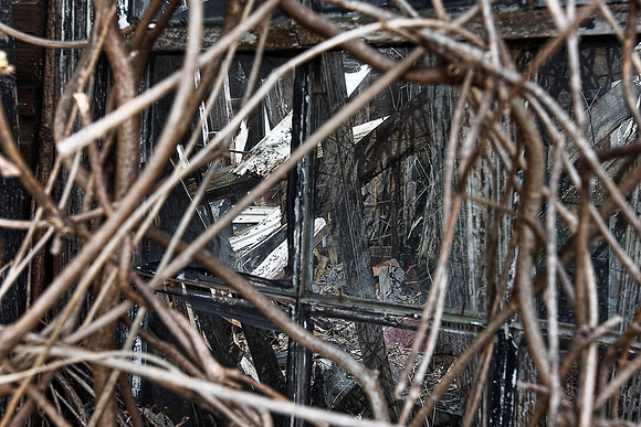 D9BRIS4008WGA