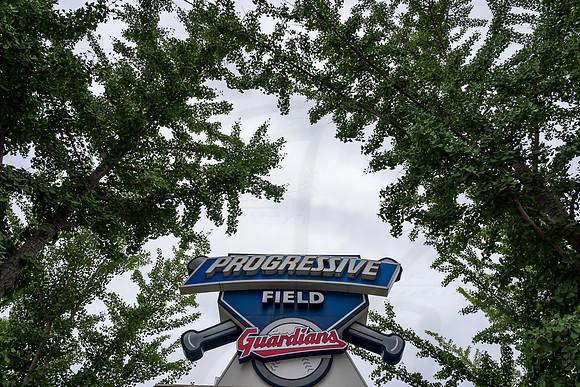D240705MLBSGVCG350939WGA
