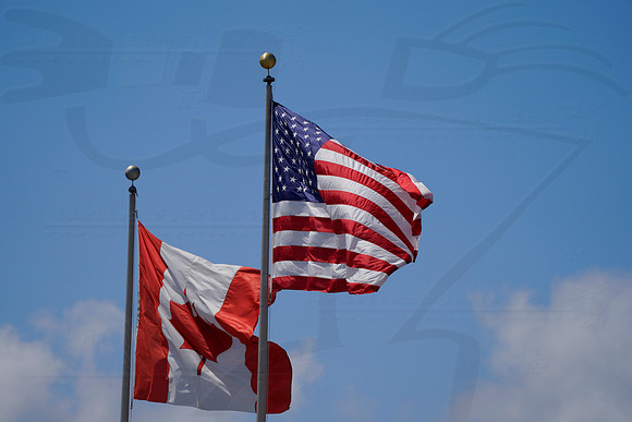 D2208_MISF_01802_SAA