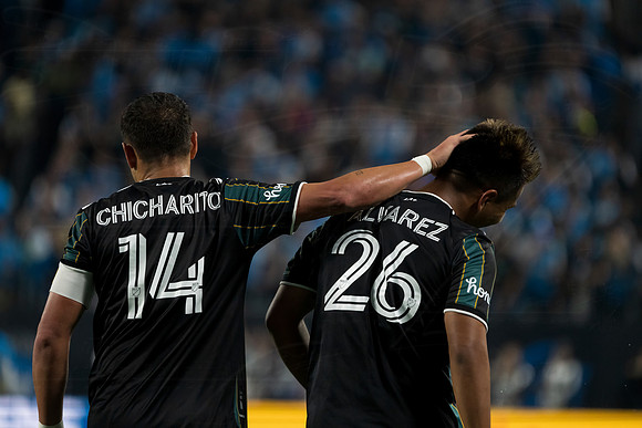 D2203MLSLAGCFC02178WGA