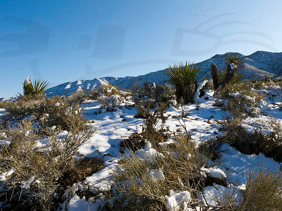 Snow Covered Desert