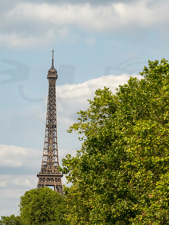 D240724FRA355843WGA