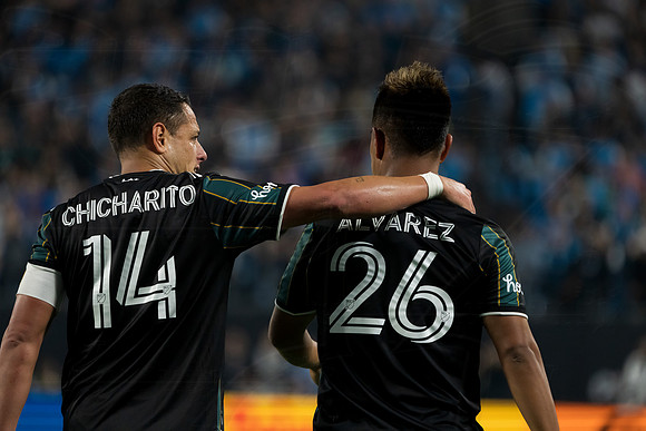 D2203MLSLAGCFC02163WGA