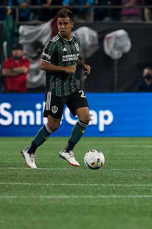 D2203MLSLAGCFC02254WGA